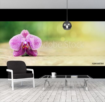 Picture of Harmony - website banner of purple orchid flower in Summer